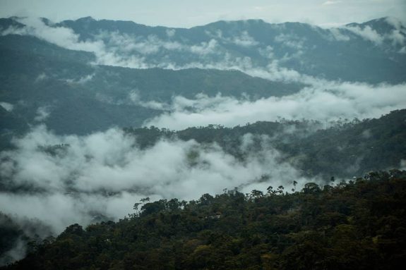 Una alianza por la conservación del medio ambiente