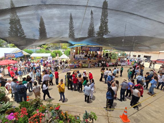 10º Festival de Flores, Frutos, Arte y 2º Mercado Campesino en Betulia