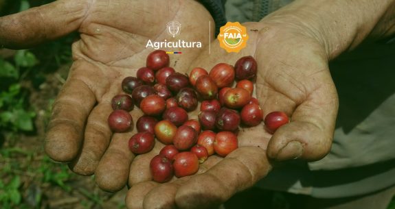 ¡Regresa el Programa FAIA! Nuevas oportunidades para los Caficultores