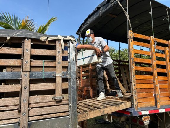 Más caficultores del Programa AAA de Nespresso se suman al proyecto Miel y Café con Ubees