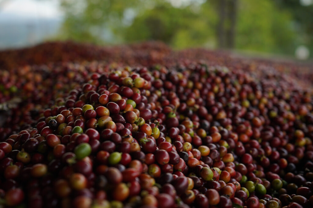 café colombiano